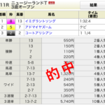 第43回ニュージーランドＴ